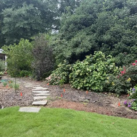 Before: back garden beds with old mulch and bare patches around the stepping stones