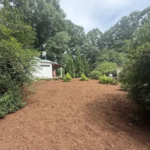 After: the same garden path with fresh, even mulch