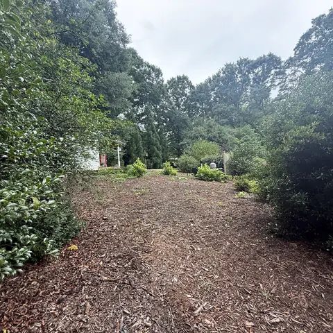 Before: a garden path covered in old mulch and leaf litter
