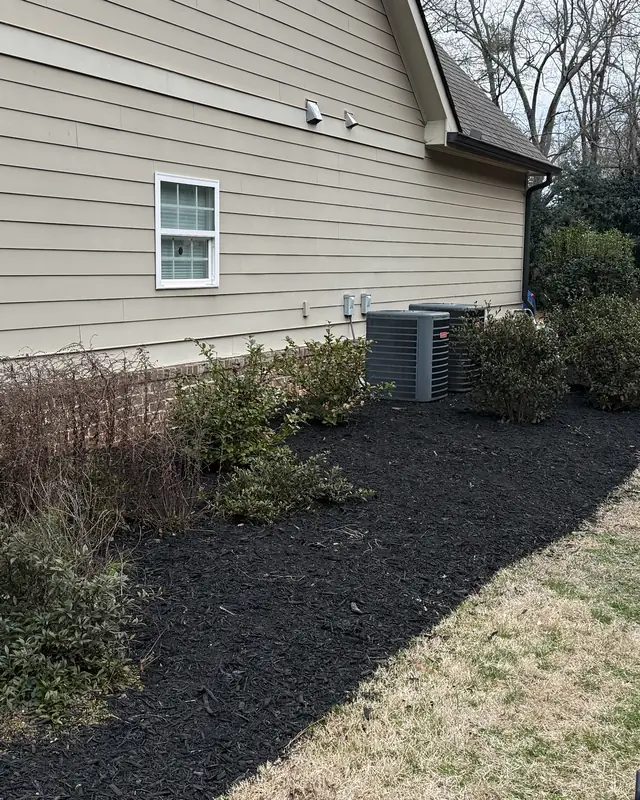 After: the side beds along the house covered in fresh black mulch