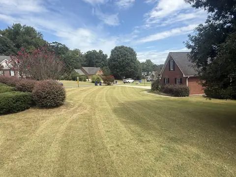 A freshly mowed front lawn in a neighborhood, with trimmed shrubs along the edge